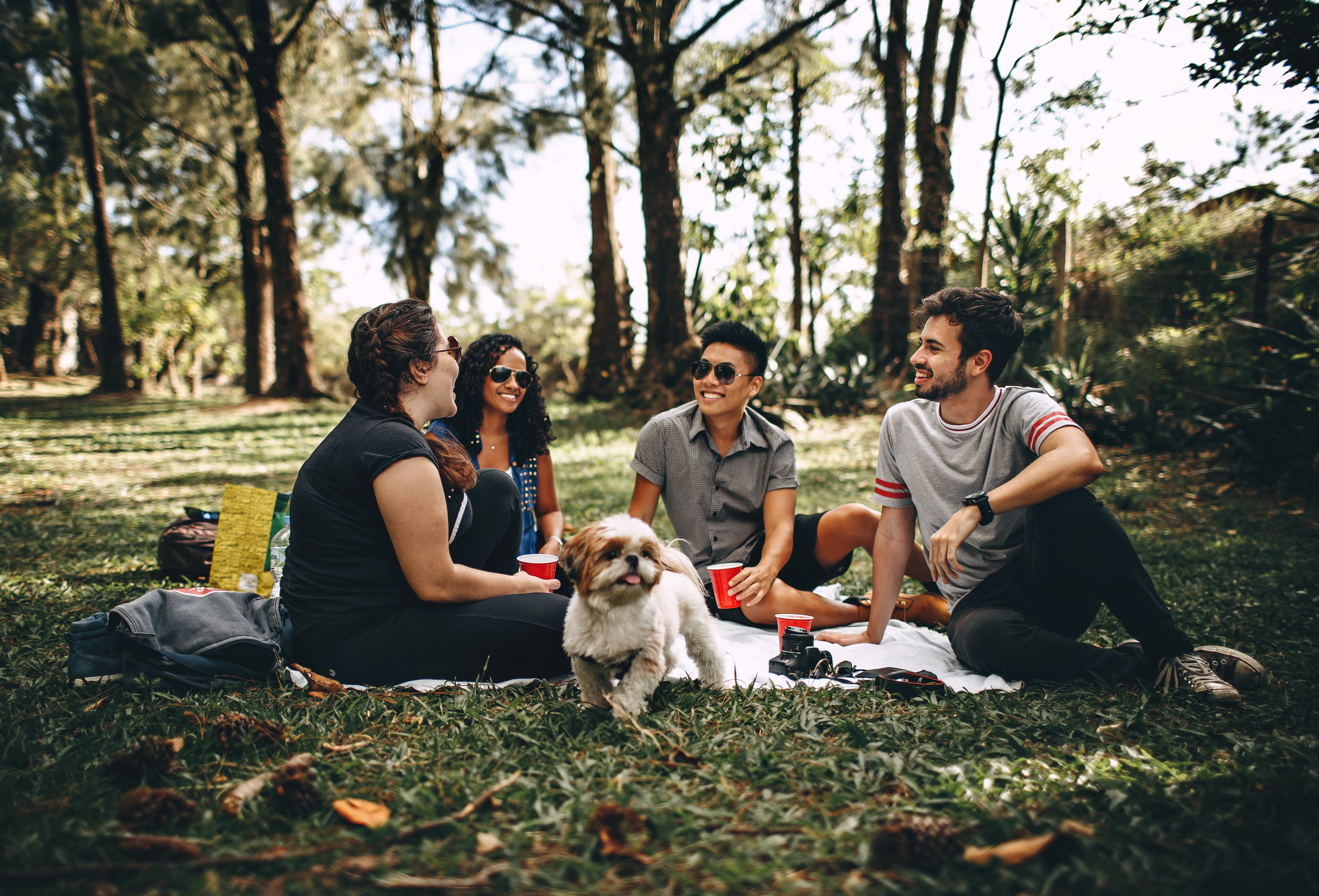people having a picnic in grass, tree covered area with small dog